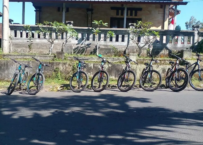 Umah Desa *